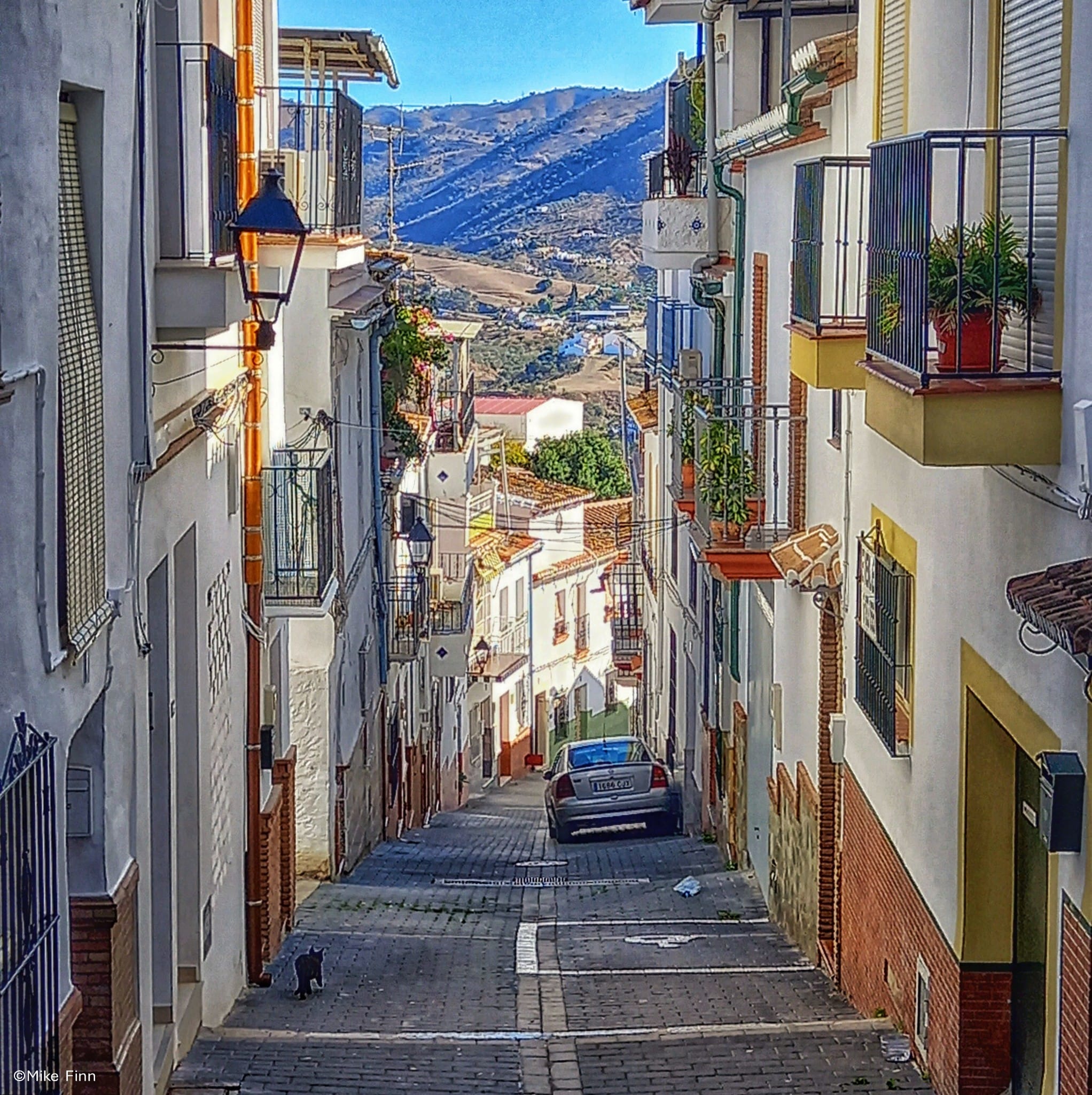 Alora - ©Mike Finn