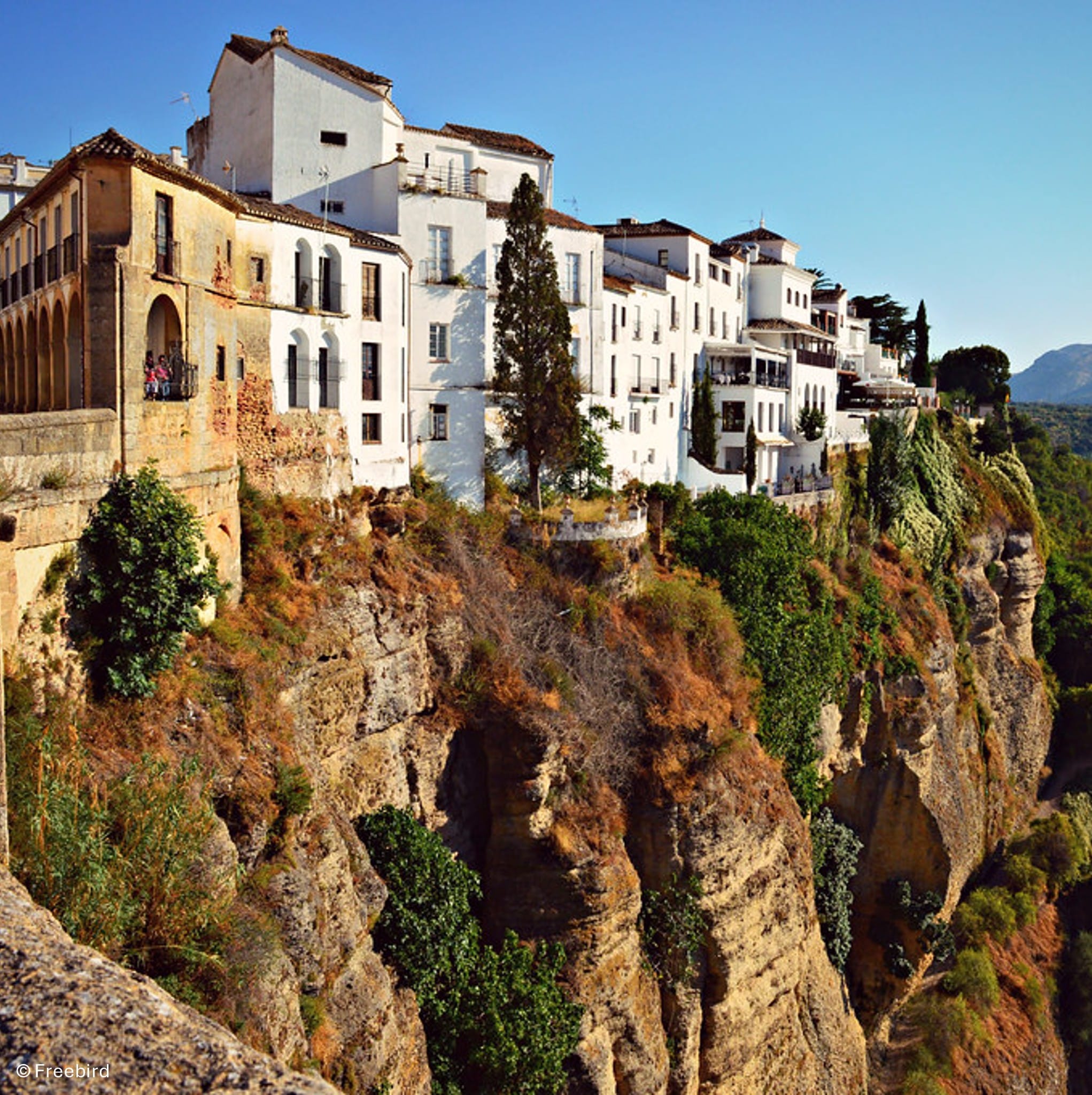 Ronda - ©Freebird