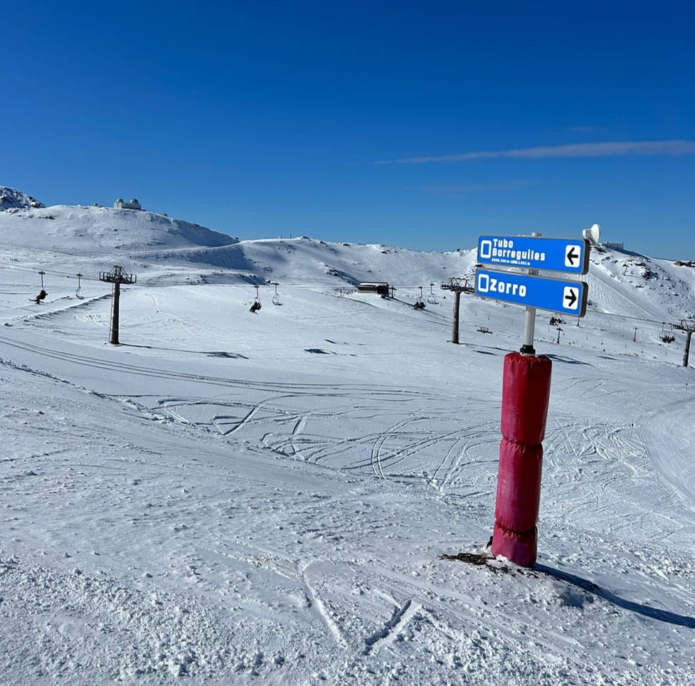 Skiën